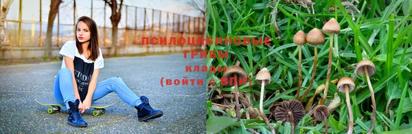 гидропоника Абинск